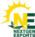 nextgen logo